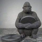 Orangutang med Coastere
