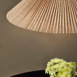 1972 Taklampe - Flere varianter