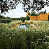 Architectural Digest at 100: The Collector's Edition - A Century of Style – produktbilde 4