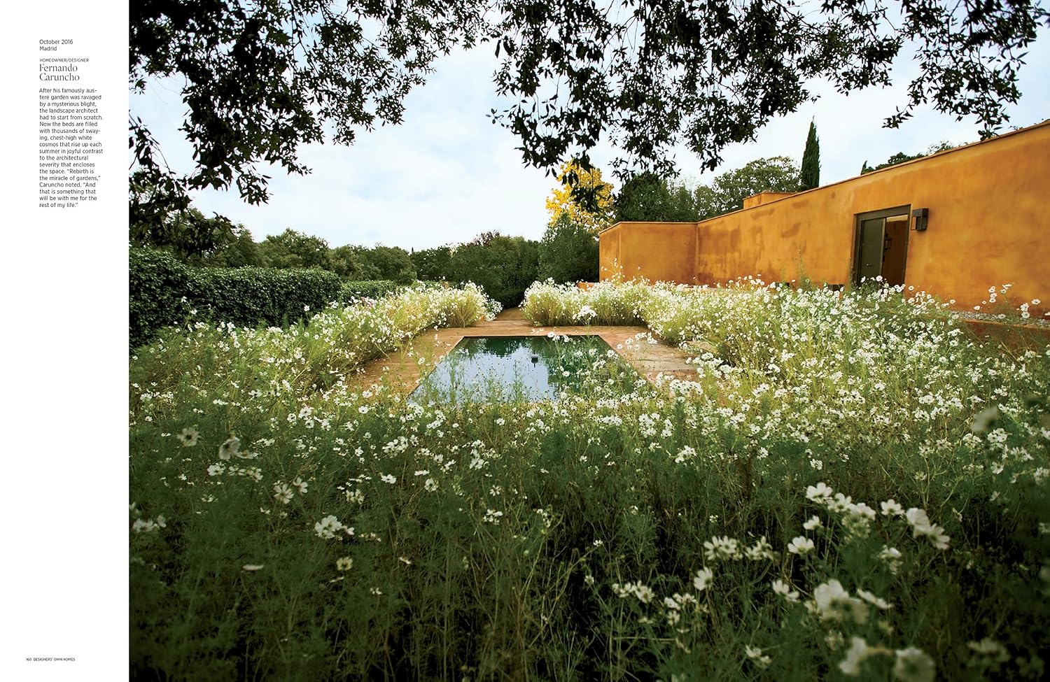 Architectural Digest at 100: The Collector's Edition - A Century of Style – produktbilde 4