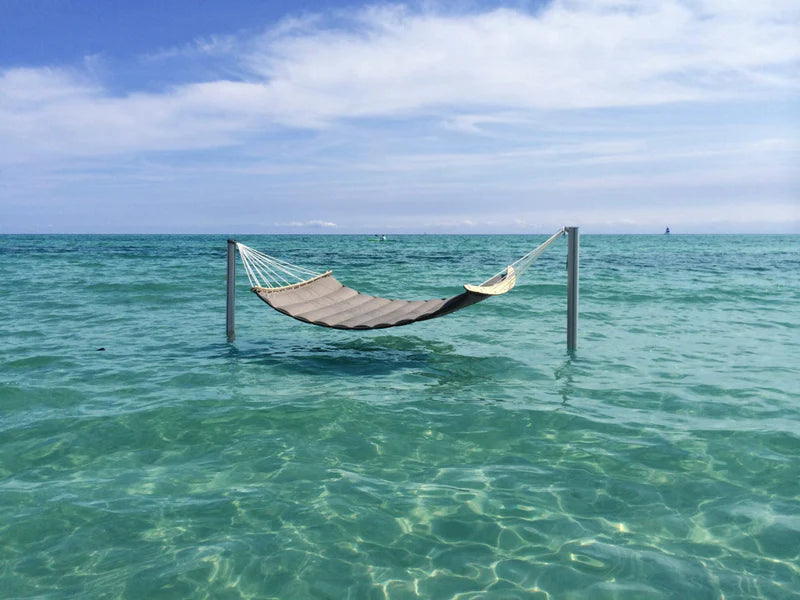 Slide bilde