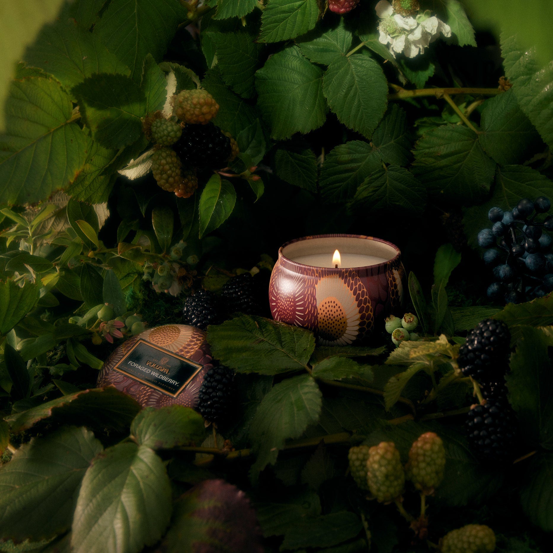 Foraged Wildberry – Duftlys Mini Tin – Voluspa