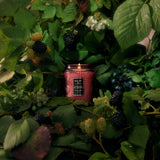 Foraged Wildberry – Duftlys Small Jar – Voluspa