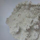 Korall Deko - Sort base