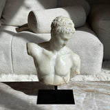 Antinous Farnese Byste Hvit