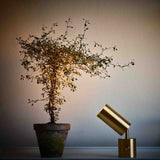 Joey Spot Bordlampe - Flere varianter