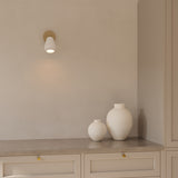 Anoli Spot Surface  - Flere varianter