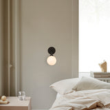 Apiales - Vegglampe