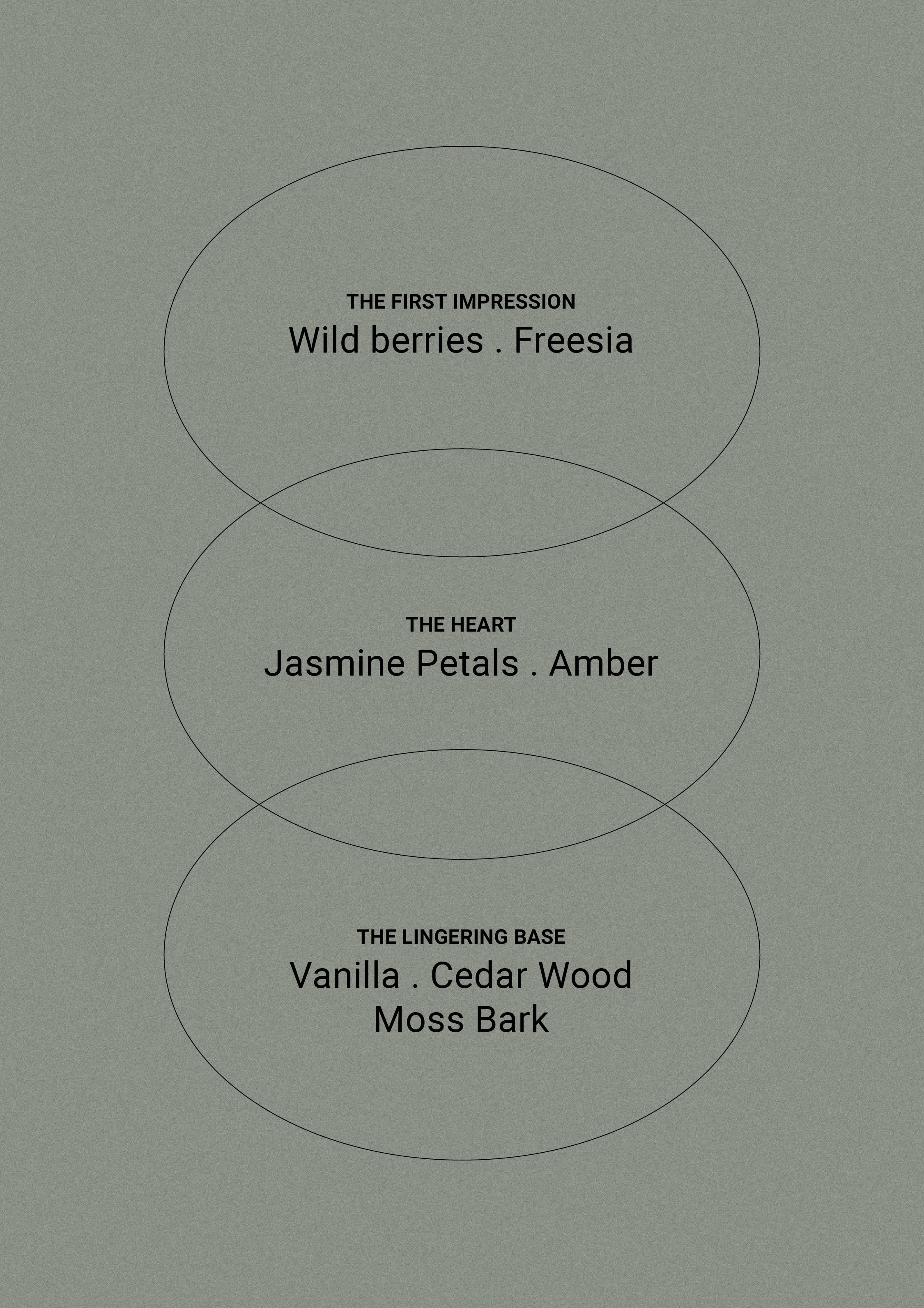 Amber & Freesia – Hånd- og kroppsvask – Smith & Co
