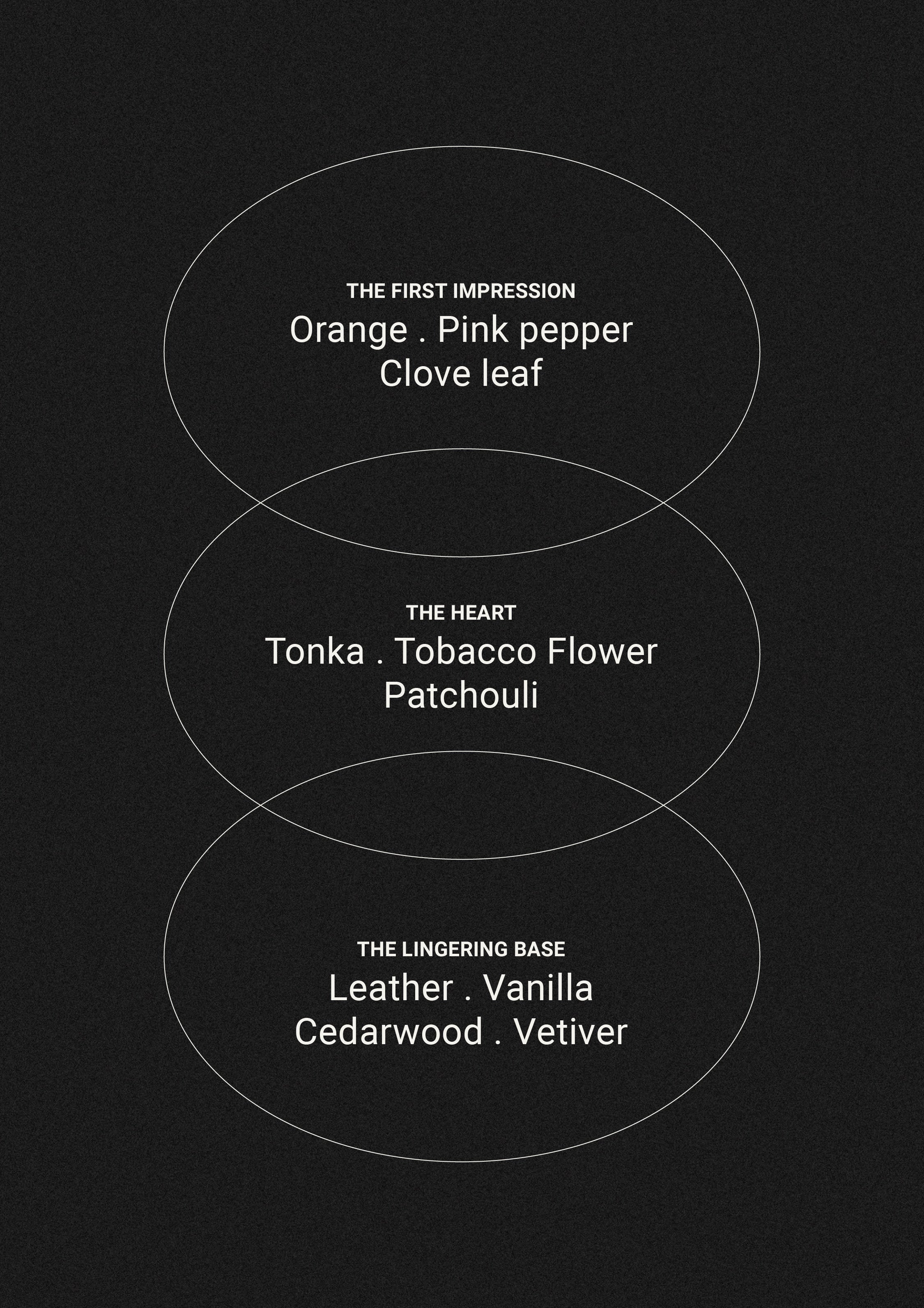 Tabac & Cedarwood – Hånd- og kroppslotion – Smith & Co