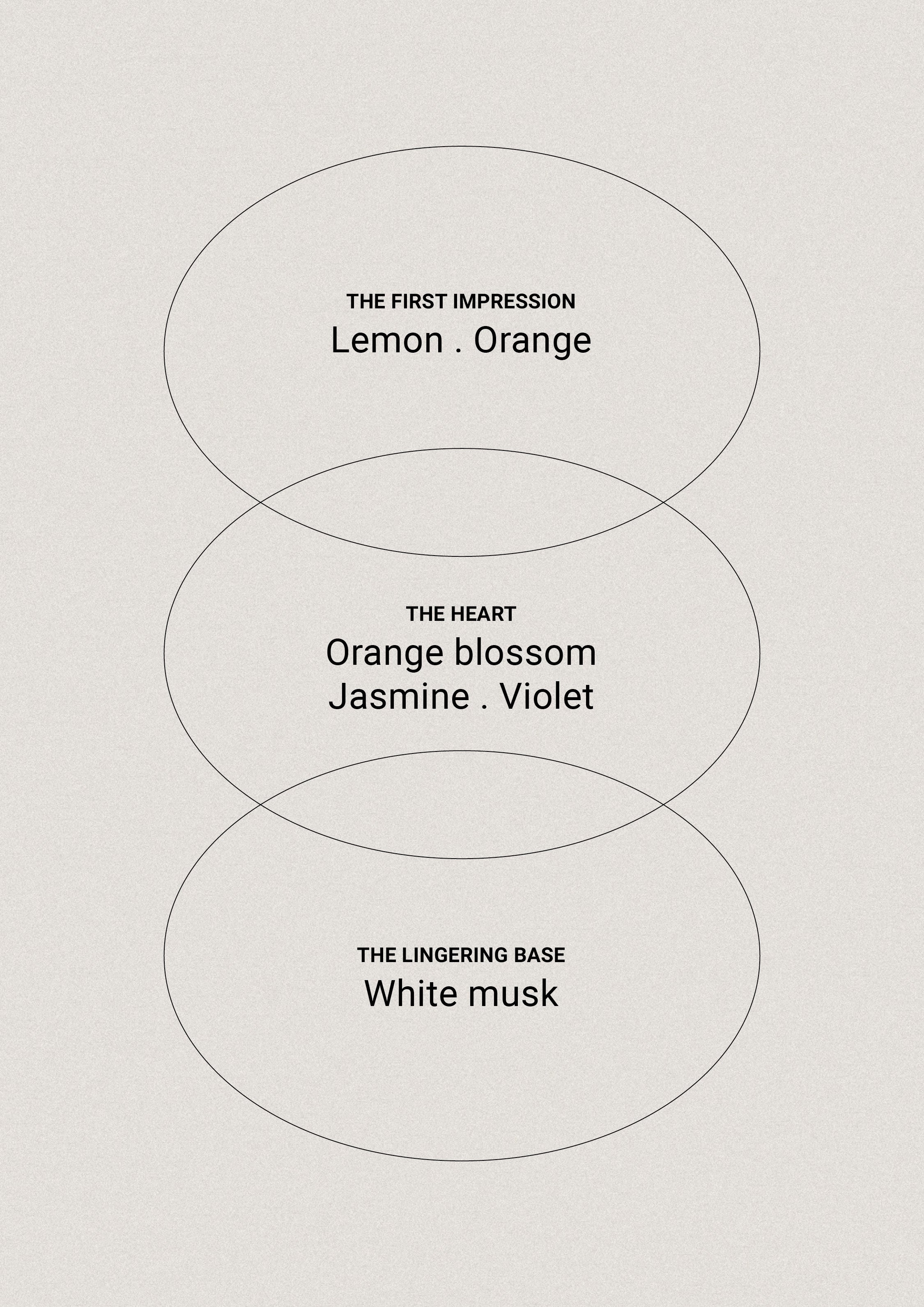 Tonka & White Musk – Hånd- og kroppsvask – Smith & Co