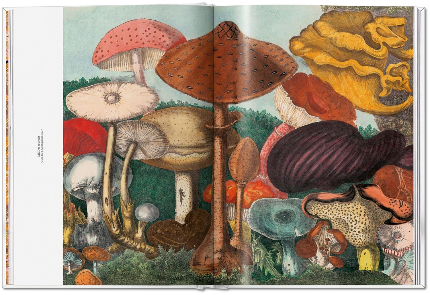 The Gourmand's Mushroom. A Collection of Stories & Recipes – produktbilde 5