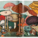The Gourmand's Mushroom. A Collection of Stories & Recipes – produktbilde 5