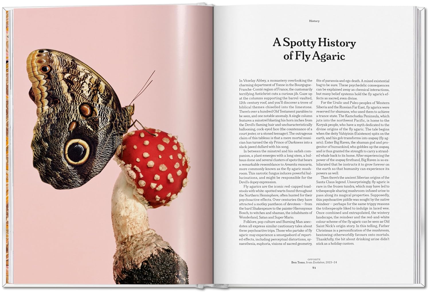 The Gourmand's Mushroom. A Collection of Stories & Recipes – produktbilde 3