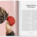 The Gourmand's Mushroom. A Collection of Stories & Recipes – produktbilde 3