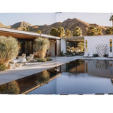 Inside Palm Springs – produktbilde 2