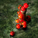 Tomato Trellis – Duftlys Mini Tin – Voluspa