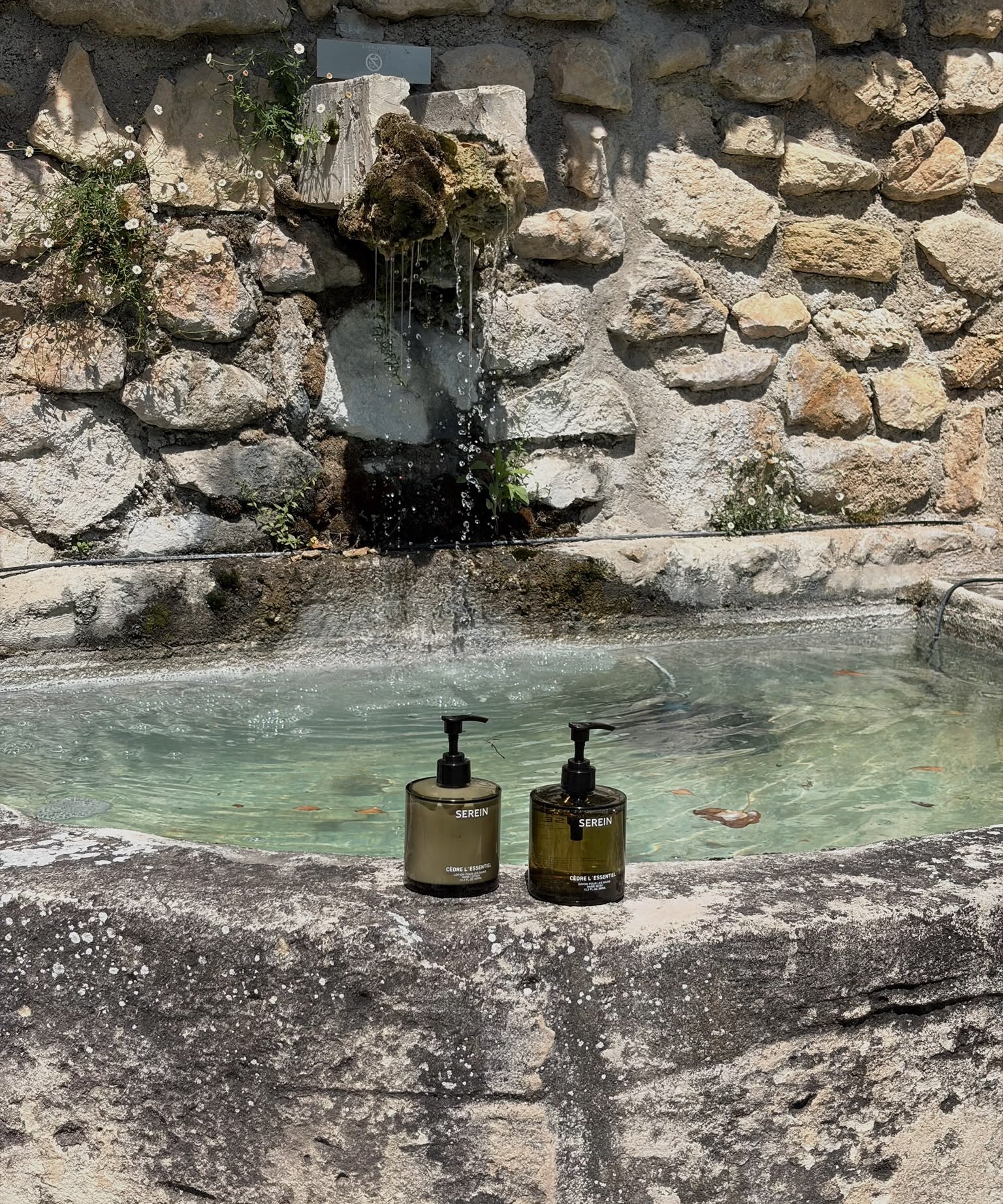 Cèdre L’essentiel Hand Lotion – miljøbilde