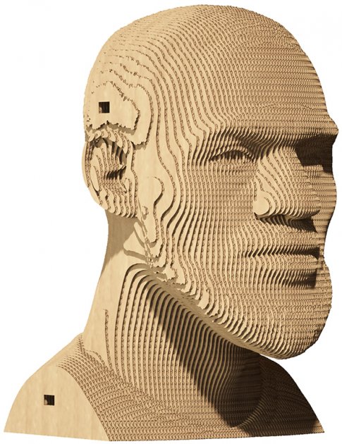 3D-puslespill - LeBron James