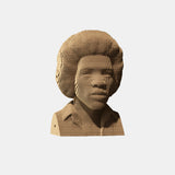 3D-puslespill - Jimi Hendrix