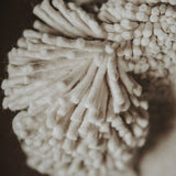 Tapestry no.01